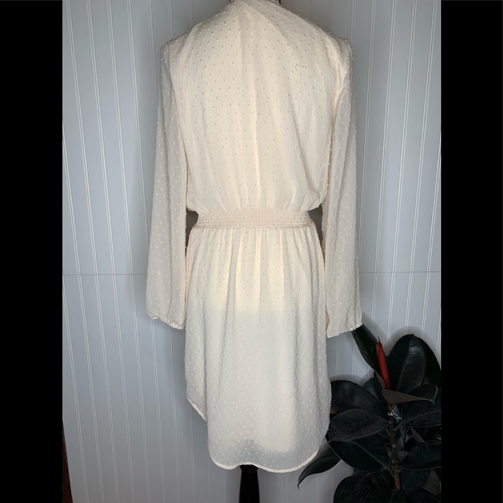 Daniel Rainn cream textured dress ** Last chance item** - Picture 3 of 3